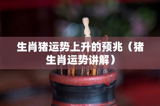 生肖猪运势上升的预兆（猪生肖运势讲解）