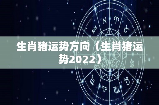 生肖猪运势方向（生肖猪运势2022）