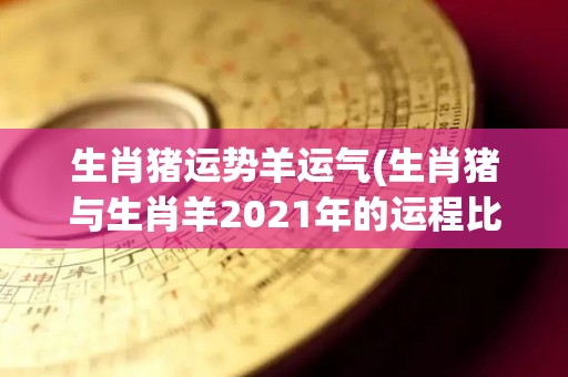 生肖猪运势羊运气(生肖猪与生肖羊2021年的运程比较)