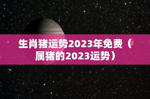 生肖猪运势2023年免费（属猪的2023运势）