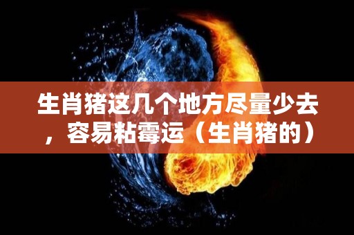 生肖猪这几个地方尽量少去，容易粘霉运（生肖猪的）