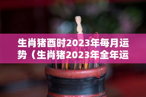 生肖猪酉时2023年每月运势（生肖猪2023年全年运势）