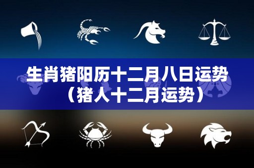生肖猪阳历十二月八日运势（猪人十二月运势）