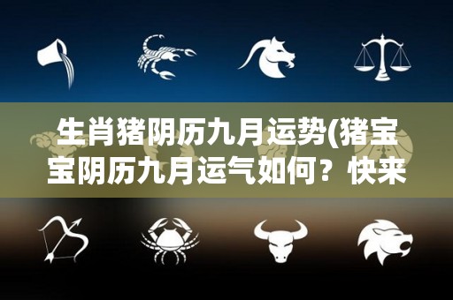 生肖猪阴历九月运势(猪宝宝阴历九月运气如何？快来看看！)