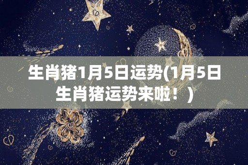 生肖猪1月5日运势(1月5日生肖猪运势来啦！)