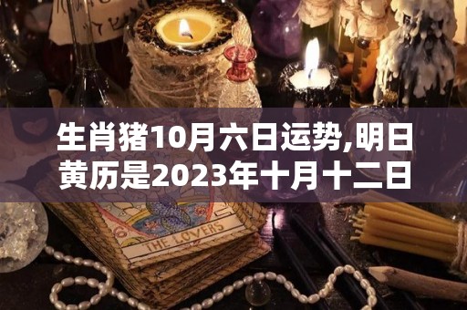 生肖猪10月六日运势,明日黄历是2023年十月十二日
