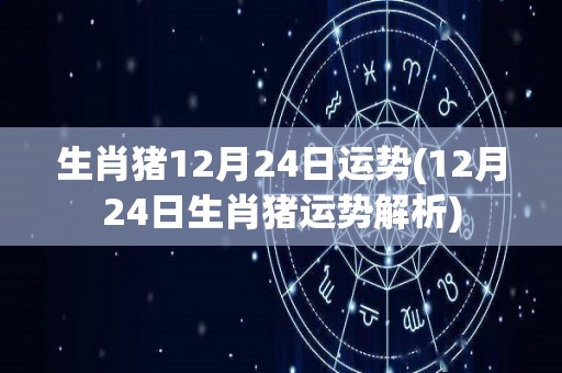 生肖猪12月24日运势(12月24日生肖猪运势解析)
