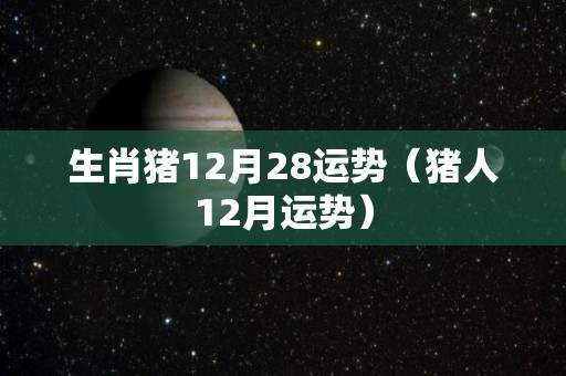 生肖猪12月28运势（猪人12月运势）