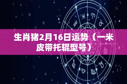 生肖猪2月16日运势（一米皮带托辊型号）