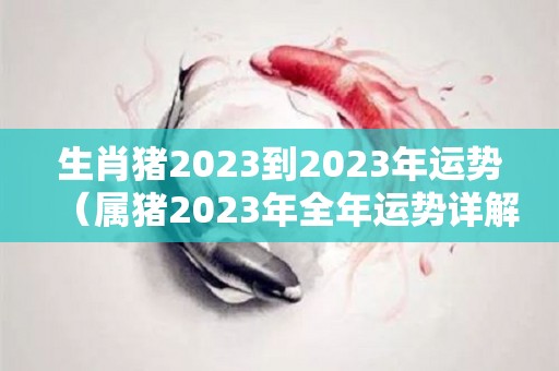生肖猪2023到2023年运势（属猪2023年全年运势详解）