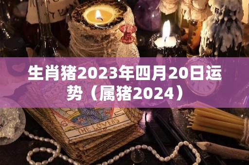 生肖猪2023年四月20日运势（属猪2024）