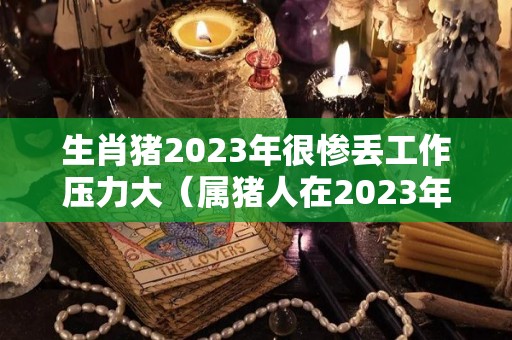 生肖猪2023年很惨丢工作压力大（属猪人在2023年的全年运势）