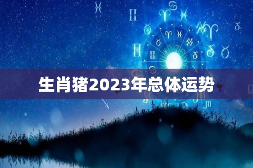 生肖猪2023年总体运势