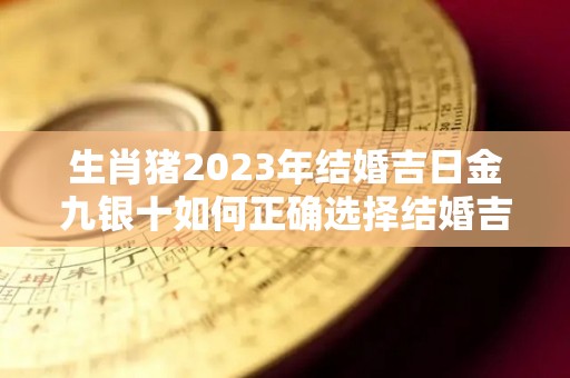 生肖猪2023年结婚吉日金九银十如何正确选择结婚吉日（2023年属猪的适合结婚吗）