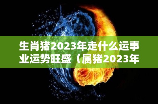 生肖猪2023年走什么运事业运势旺盛（属猪2023年运势及运程 2023年属猪人的全年每月运势）
