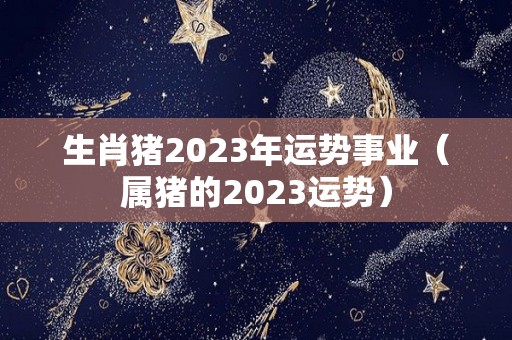生肖猪2023年运势事业（属猪的2023运势）