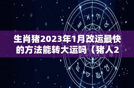 生肖猪2023年1月改运最快的方法能转大运吗（猪人2023年每月运势运程）