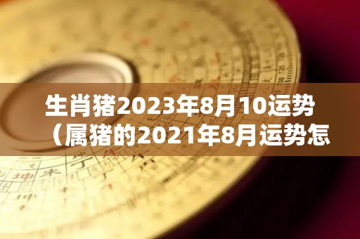 生肖猪2023年8月10运势（属猪的2021年8月运势怎么样）