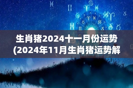 生肖猪2024十一月份运势(2024年11月生肖猪运势解析)