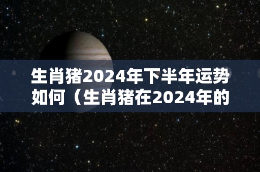 生肖猪2024年下半年运势如何（生肖猪在2024年的运势）