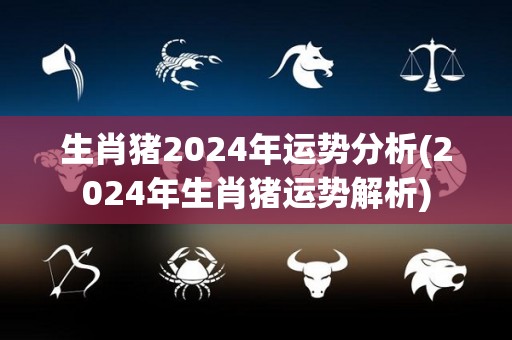 生肖猪2024年运势分析(2024年生肖猪运势解析)