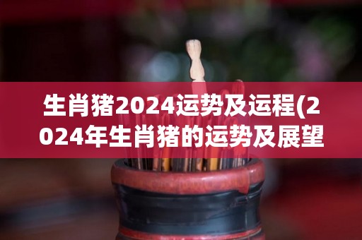 生肖猪2024运势及运程(2024年生肖猪的运势及展望)