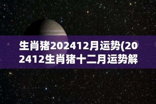 生肖猪202412月运势(202412生肖猪十二月运势解析)