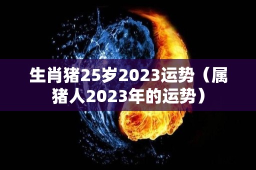 生肖猪25岁2023运势（属猪人2023年的运势）