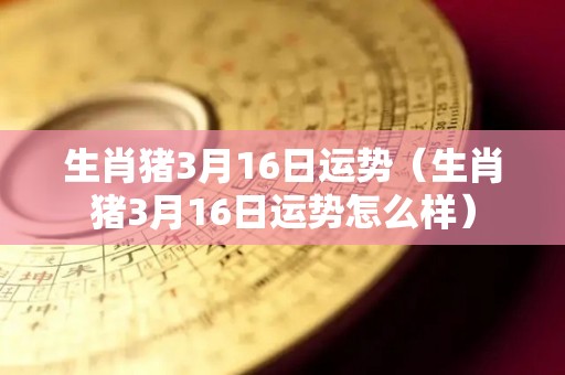 生肖猪3月16日运势（生肖猪3月16日运势怎么样）