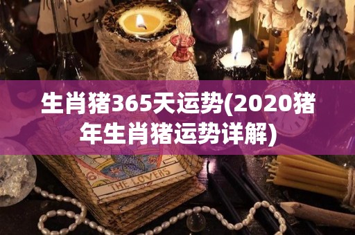 生肖猪365天运势(2020猪年生肖猪运势详解)