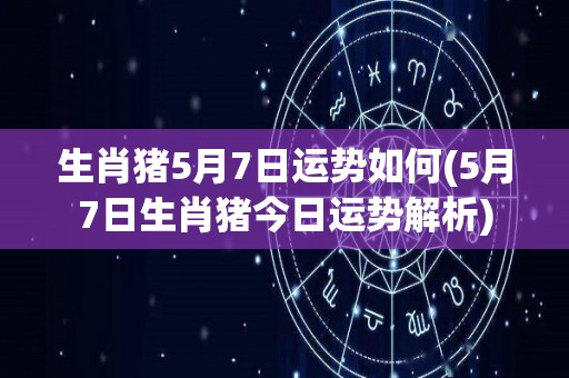 生肖猪5月7日运势如何(5月7日生肖猪今日运势解析)