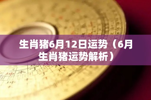 生肖猪6月12日运势（6月生肖猪运势解析）