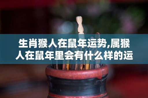 生肖猴人在鼠年运势,属猴人在鼠年里会有什么样的运势和运势好吗？