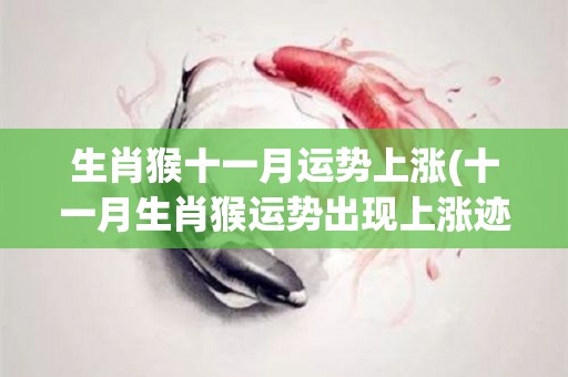 生肖猴十一月运势上涨(十一月生肖猴运势出现上涨迹象)