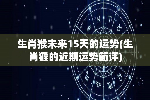 生肖猴未来15天的运势(生肖猴的近期运势简评)