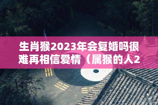 生肖猴2023年会复婚吗很难再相信爱情（属猴的人2023年适合生子吗）
