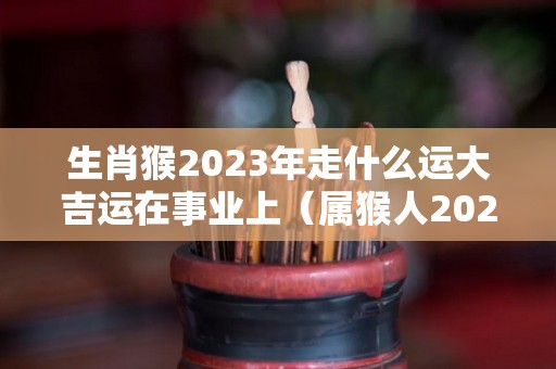 生肖猴2023年走什么运大吉运在事业上（属猴人2023年运势好一点）