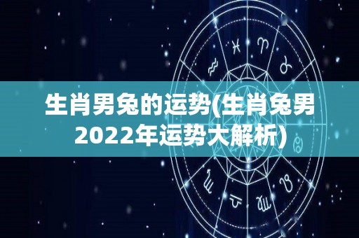 生肖男兔的运势(生肖兔男2022年运势大解析)