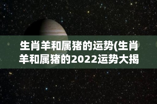 生肖羊和属猪的运势(生肖羊和属猪的2022运势大揭秘！)