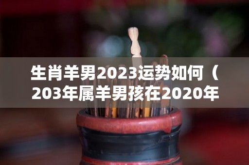 生肖羊男2023运势如何（203年属羊男孩在2020年运势）