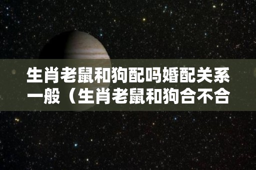 生肖老鼠和狗配吗婚配关系一般（生肖老鼠和狗合不合）