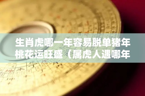 生肖虎哪一年容易脱单猪年桃花运旺盛（属虎人遇哪年比较好）