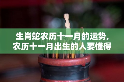生肖蛇农历十一月的运势,农历十一月出生的人要懂得努力