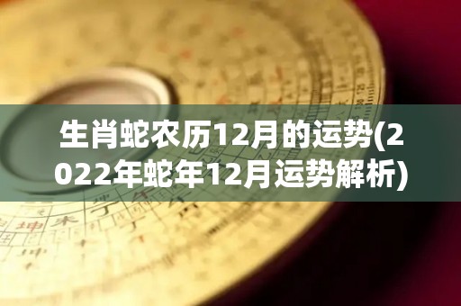 生肖蛇农历12月的运势(2022年蛇年12月运势解析)