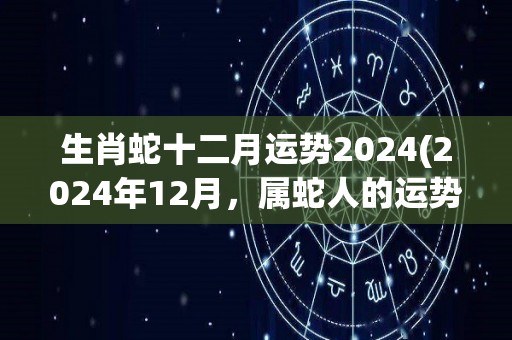 生肖蛇十二月运势2024(2024年12月，属蛇人的运势如何？)