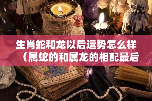 生肖蛇和龙以后运势怎么样（属蛇的和属龙的相配最后怎么样）