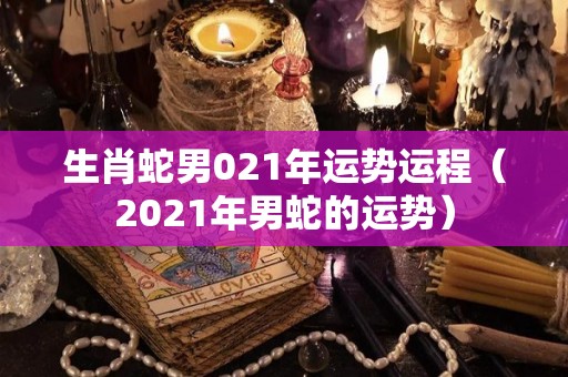 生肖蛇男021年运势运程（2021年男蛇的运势）