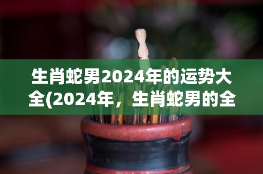 生肖蛇男2024年的运势大全(2024年，生肖蛇男的全年运势解析)
