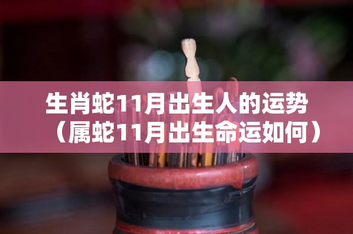 生肖蛇11月出生人的运势（属蛇11月出生命运如何）
