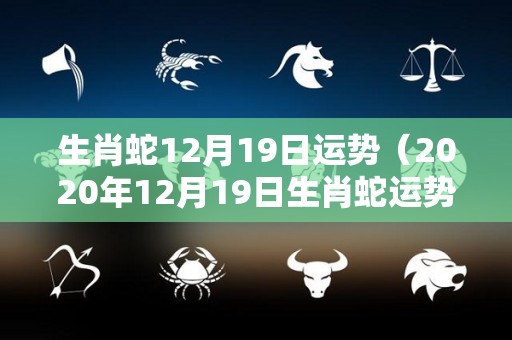 生肖蛇12月19日运势（2020年12月19日生肖蛇运势）